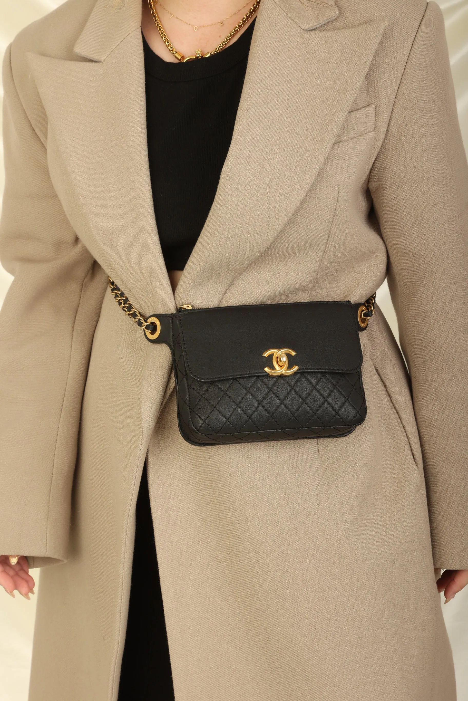 Chanel 2019 Calfskin Waistbag w/ Coin Purses